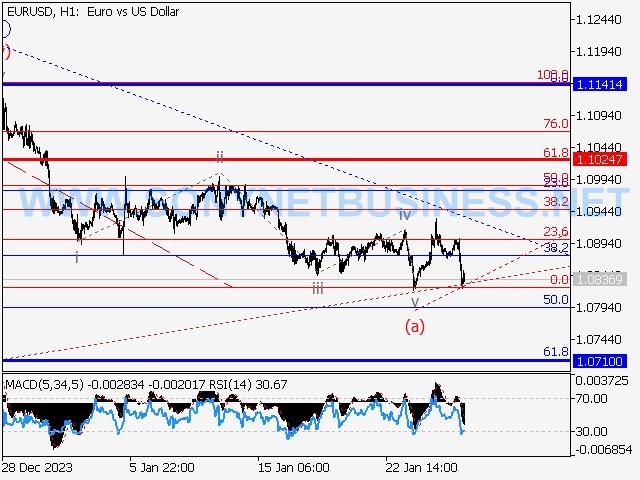 Elliott wave Analysis and Forecast for 29.01.24–02.02.24