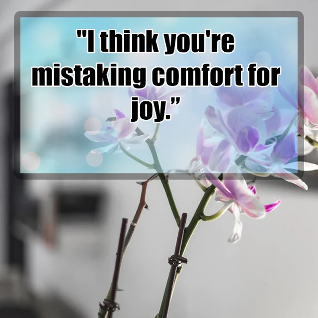 40+ Comfort quotes to make you feel happy
