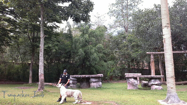 Taman Safari Indonesia II Prigen Pasuruan