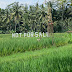 Bali Sudah Bukan Surga Lagi