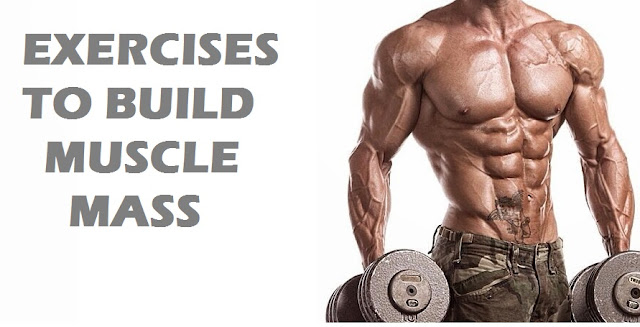 muscle building exercises