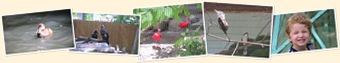 View Tracy Aviary June 25, 2009