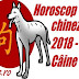 Horoscop chinezesc 2018 - Câine