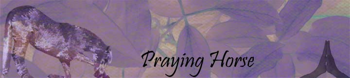 Praying Horse