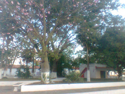 Praça José Rego