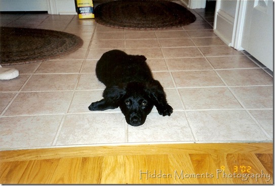 The Day Max arrived