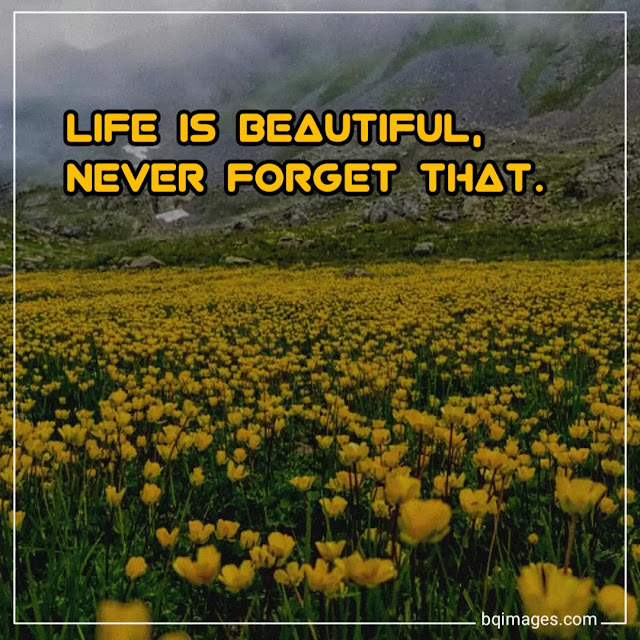 life is beautiful images with quotes