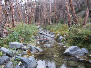 West Fork San Gabriel River