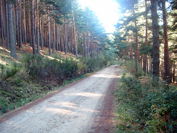 Ruta de Colmenar Viejo al puerto de Cotos. Octubre 2012