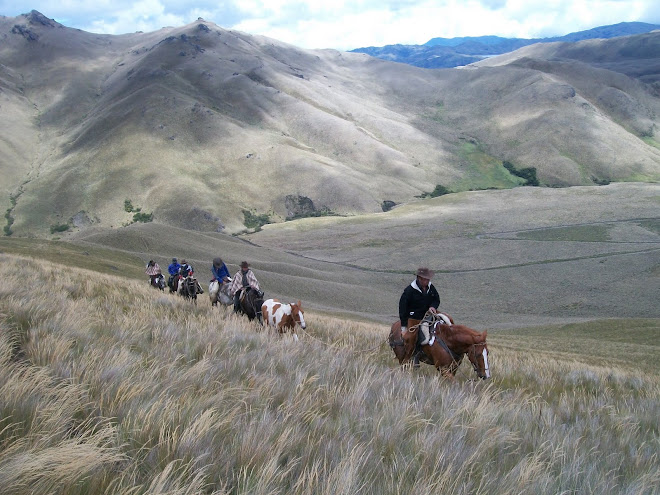 Cabalgatas de Chagras