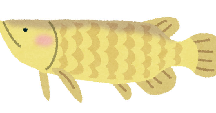 アロワナのイラスト 魚 かわいいフリー素材集 いらすとや