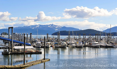 朱諾, Juneau Whale watching, 觀鯨團