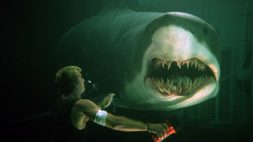 Ренни Харлин опять снимет фильм ужасов про кровожадных акул