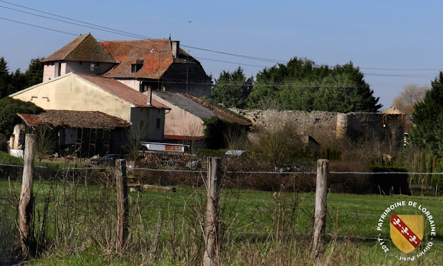 RECHICOURT-LE-CHATEAU (57) - Un château renaissance