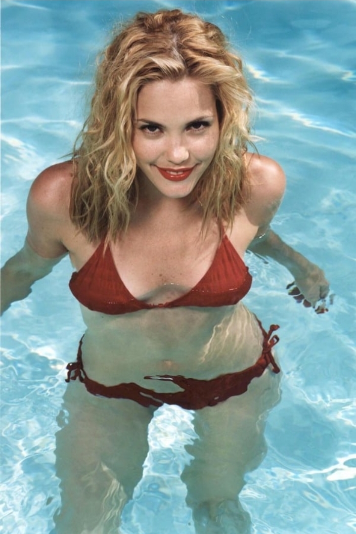 Leslie Bibb bikini