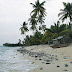 Pulau Durai Anambas, Surganya Penyu