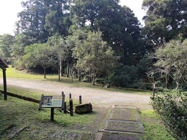 東眼山國家森林遊樂區 - 林道