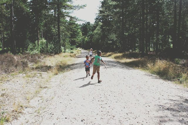 stretch-of-road-summer-story-ringwood-playground-forest-todaymyway