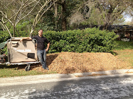 Leaf Vac Is Amazing