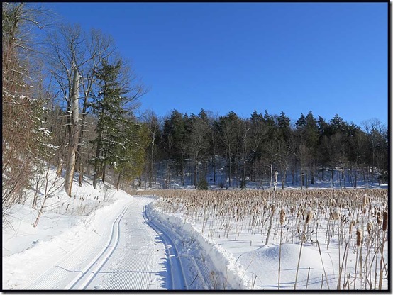 16021819bymeechlake