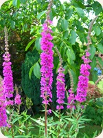 DSCN4802