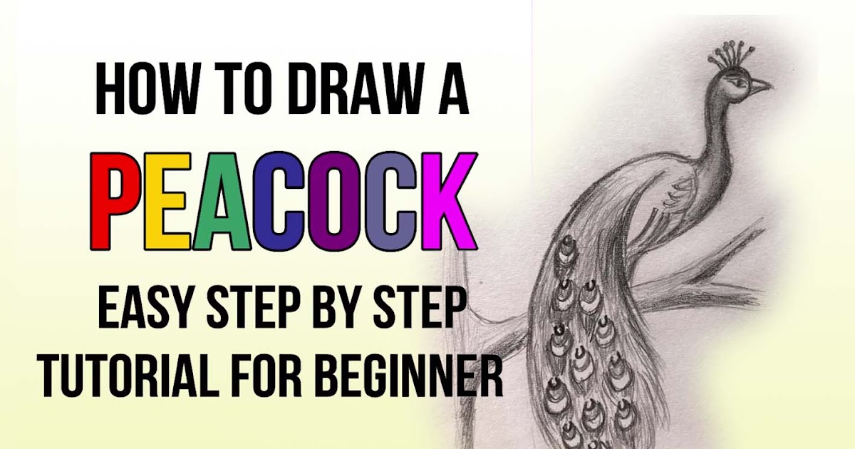 Peacock Drawing Art Drawing - Chris Mokoena