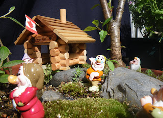Dwarfs house with Canadian flag from miniature garden