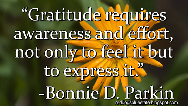 “Gratitude requires awareness and effort, not only to feel it but to express it.” -Bonnie D. Parkin