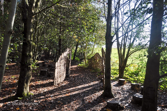 Autumn colours at Wakehurst in Sussex, photos by Sarah Agnew Modernbricabrac