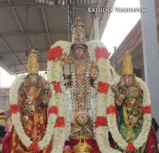 Sri TheliyaSingar , Sri Gajendra Varadhar, Samrokshanam, 2016, Video, Divya Prabhandam,Sri Parthasarathy Perumal, Triplicane,Thiruvallikeni,Utsavam,