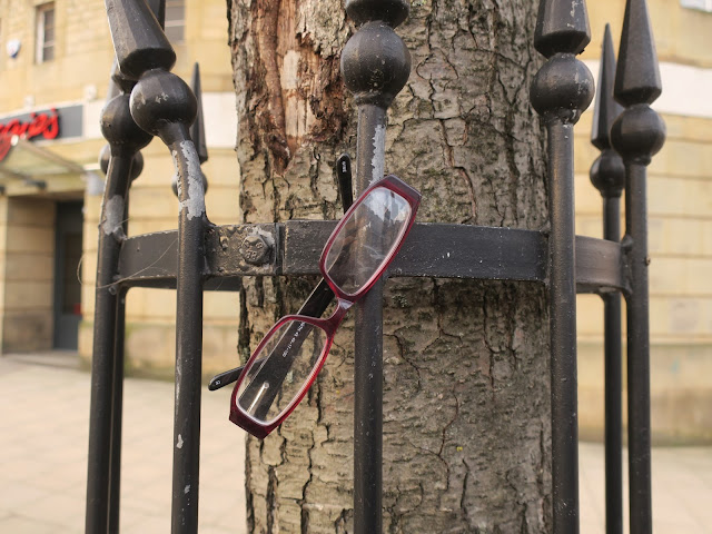 Glasses hanging on the railings of the guard around an alder tree in Halifax.