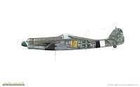 Eduard 1/48 Fw 190D-11/13 (8185) Colour Guide & Paint Conversion Chart