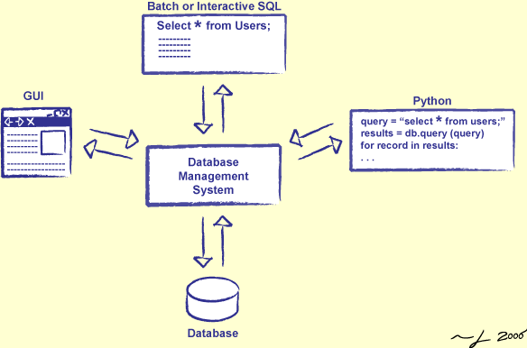 dbms logo. DBMS