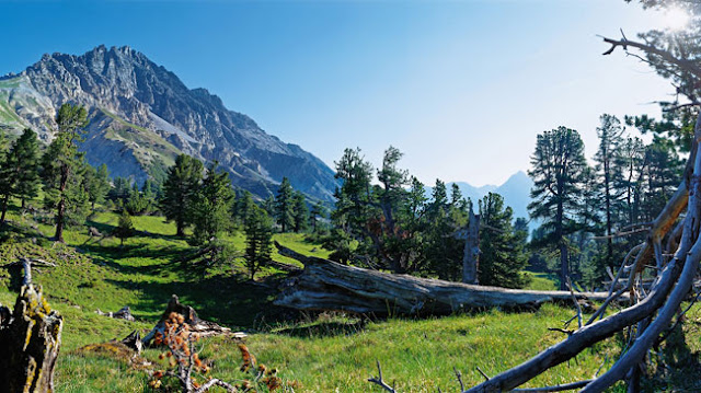  Swiss ialah negara pegunungan yang ada di Eropa Daftar Tempat Wisata Mempesona Di Swiss