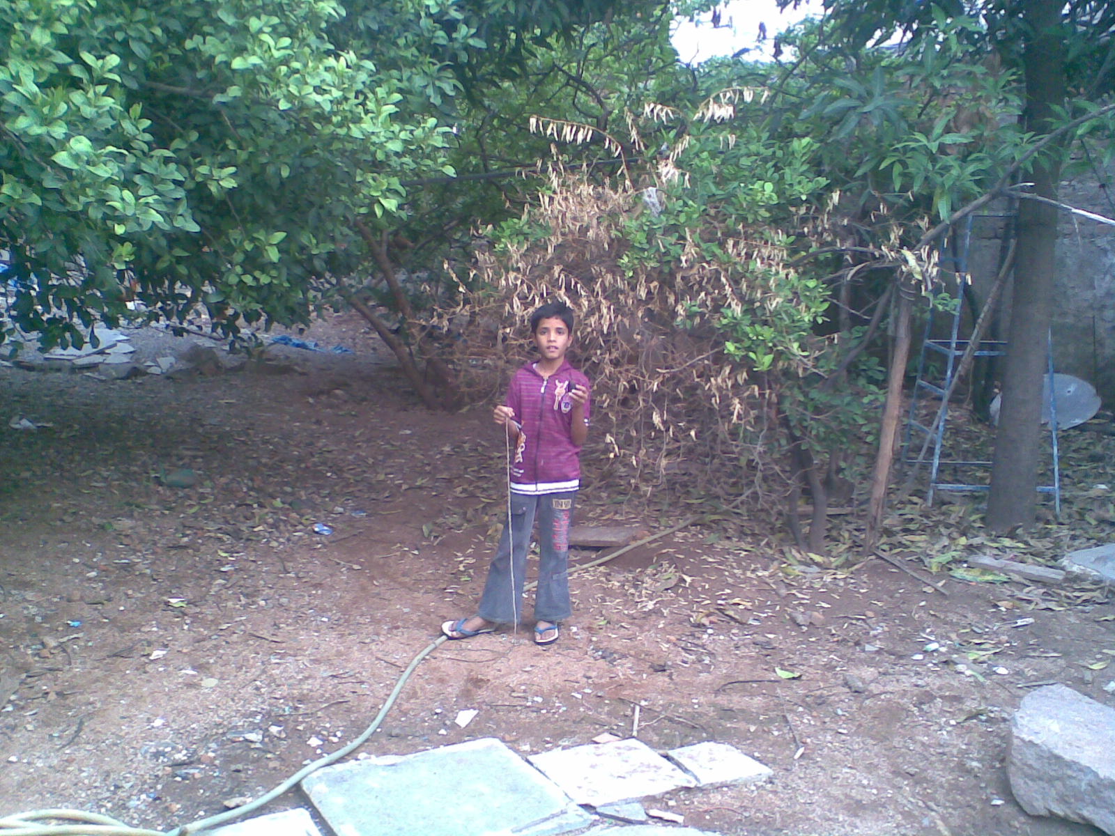 azizbashadi20