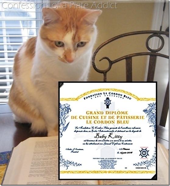 Baby Kitty's Grand Diplôme from Le Cordon Bleu Paris Baby Kitty's Grand Diplôme from Le Cordon Bleu Paris