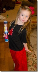 Christmas 2012 16928