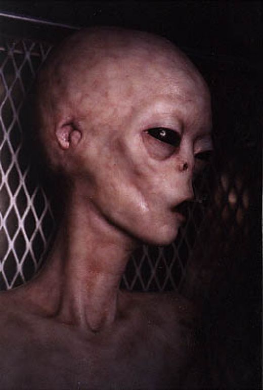 Dead Alien Body 3