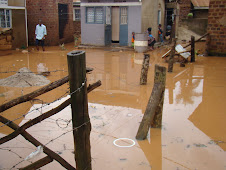 Stagnant water