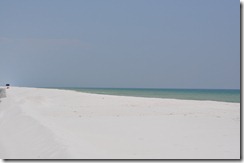 2010 May 043