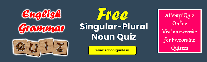 Singular and Plural Noun Quiz