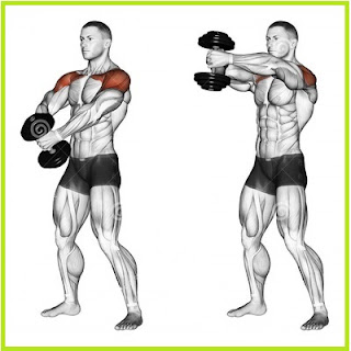 Dumbbell front raise