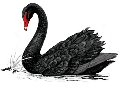 Durkin's Black Swan?