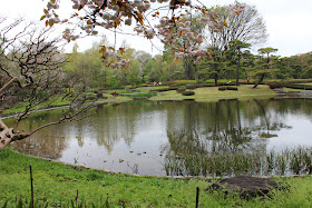 Pond in East Garden, Tokyo Imperial Palace