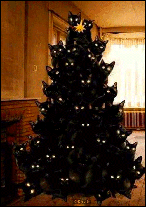 Art Cat GIF • OMG, incredible! 35 flashing black cats in the Christmas tree. Purrfect Xmas ornament for Crazy cat lady :)