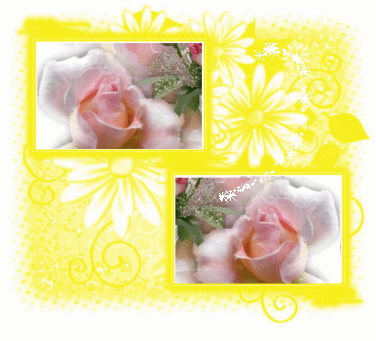 Gif Flores