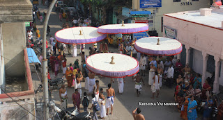 Ippasi Thirumoolam,Sattrumurai, Manavala Maamunigal,Purappadu,2016, Video, Divya Prabhandam,Triplicane,Thiruvallikeni,Utsavam,