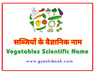Scientific Name Of Vegetables