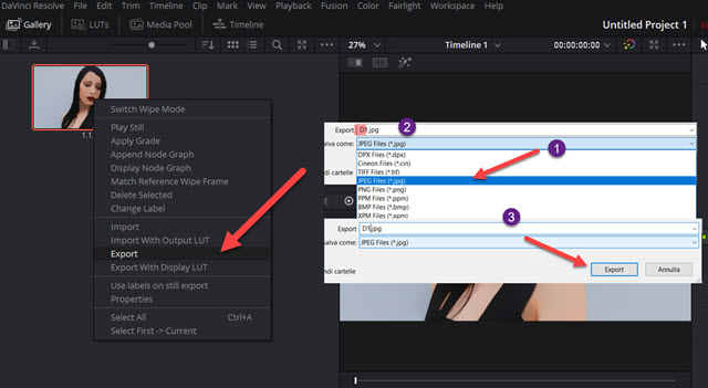 esportare-foto-davinci-resolve