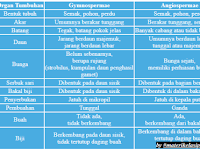 Perbedaan Angiospermae Dan Gymnospermae Dalam Bentuk Tabel